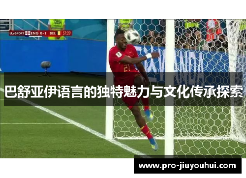 巴舒亚伊语言的独特魅力与文化传承探索