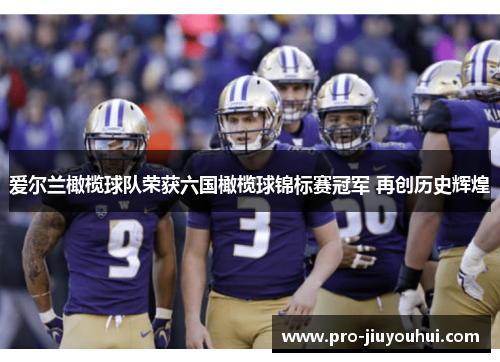 爱尔兰橄榄球队荣获六国橄榄球锦标赛冠军 再创历史辉煌