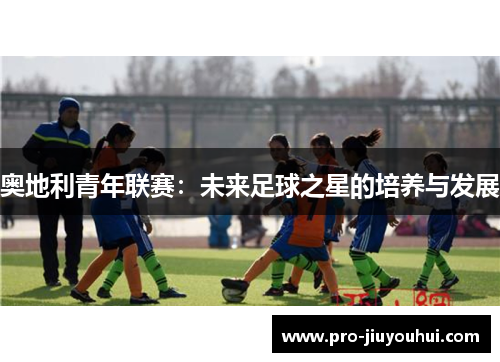 奥地利青年联赛:未来足球之星的培养与发展 奥地利青年联赛:未来足球之星的培养与发展